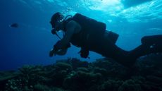 Phil Torres exploring Troy's Coral Head in Expedition X: Atomic Sharks