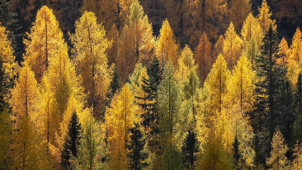  david clapp dolomites