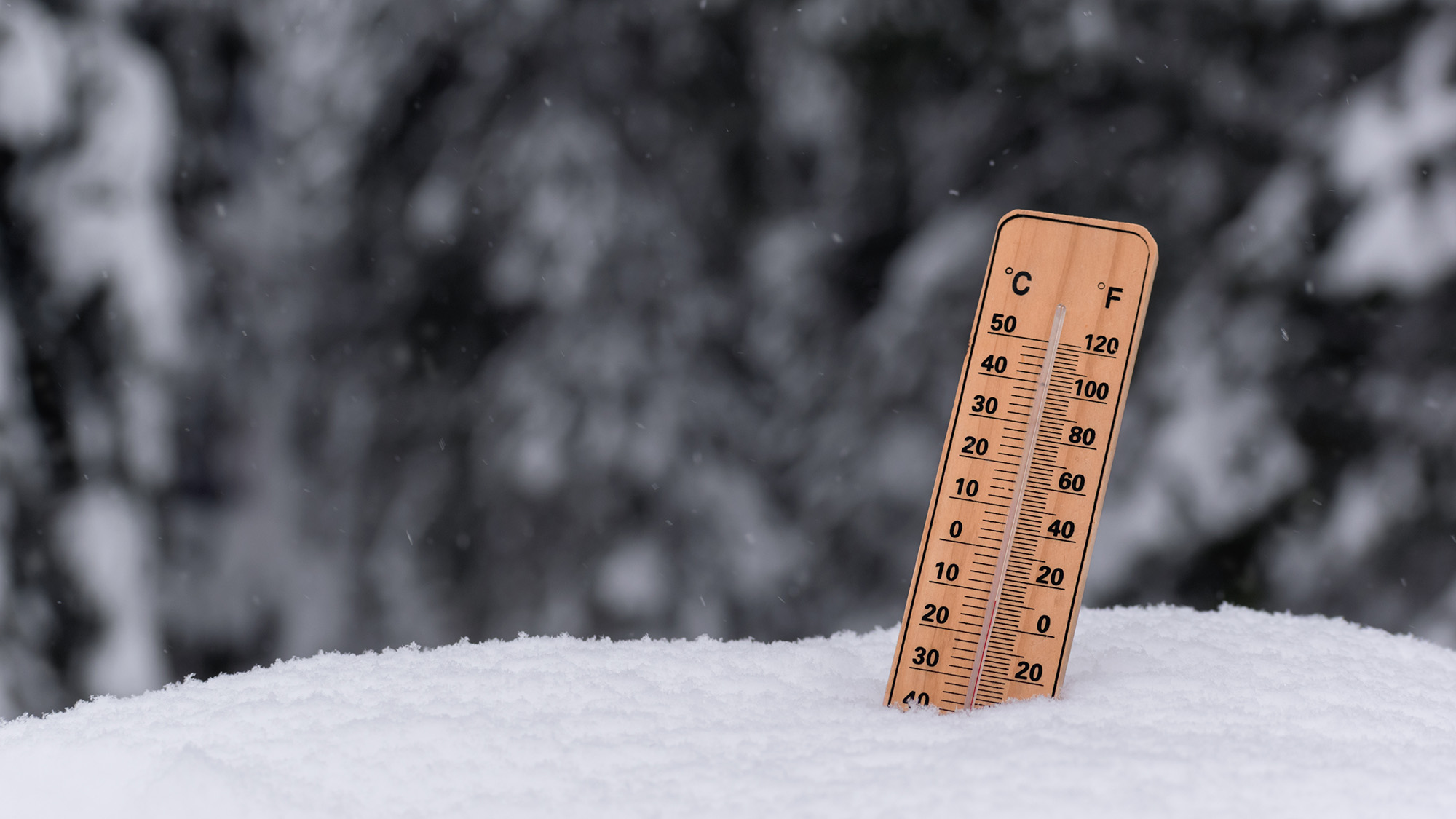 Thermometer in snow