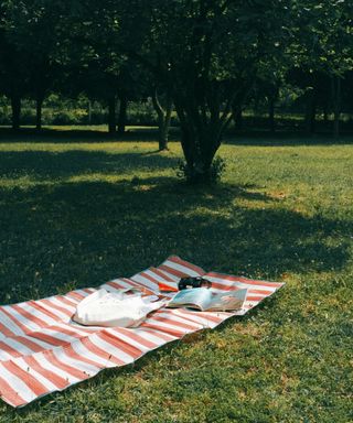 a mat outside on the grass