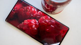 Looking at a macro photo of a raspberry on a Google Pixel 7 Pro which was taken by the phone