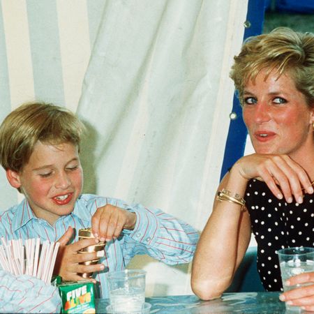 Diana, Princess of Wales and Prince William enjoy some refreshments at Windsor Great Park on June 01, 1991in Windsor, England .