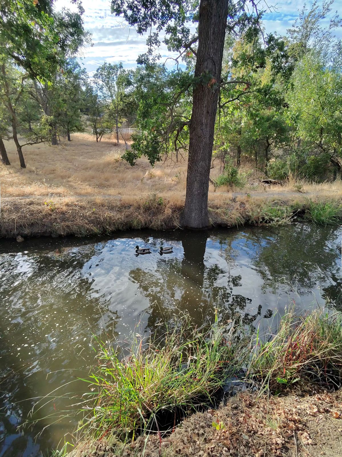 A camera sample showing the visual quality of photos taken from the Ray-Ban Meta smart glasses