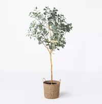 Faux Eucalyptus Tree - Threshold™ designed with Studio McGee for $170, at Target