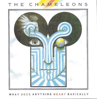 The Chameleons