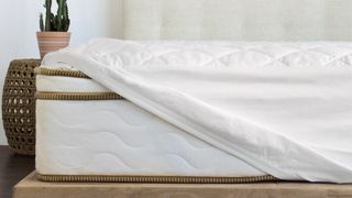 Saatva vs Tempur-Pedic mattress toppers: image shows the Saatva organic mattress pad