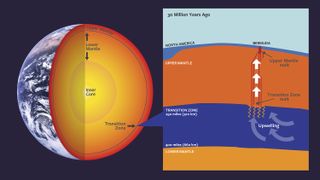 Transition zone graphic