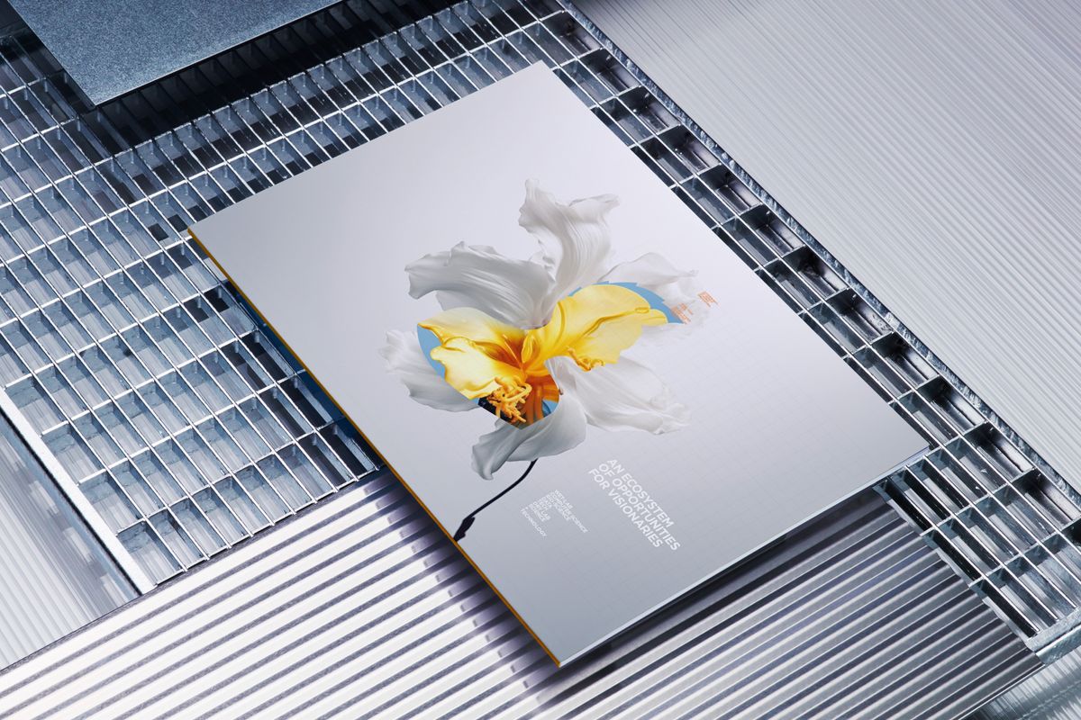 images of new British Land rebrand which shows natural objects in a beautiful way