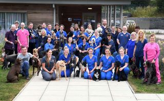 Staff and animals at Wear Referrals new BBC show 24/7 Pet Hopsital