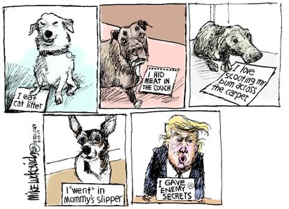 Political cartoon U.S. Trump Russia intelligence leaks dogs