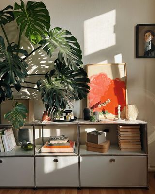 White chest with large potted plants