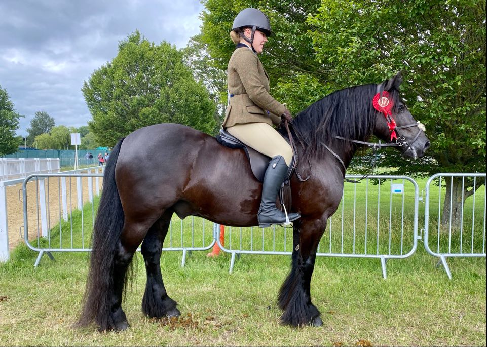 Greenholme Falcon and Chantelle Chapman score the m&amp;amp;m working hunter pony title at the 2021 Royal Windsor Horse Show