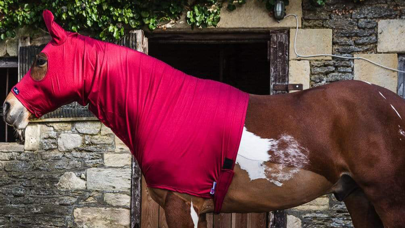 Snuggy Hoods Lycra hood for horses