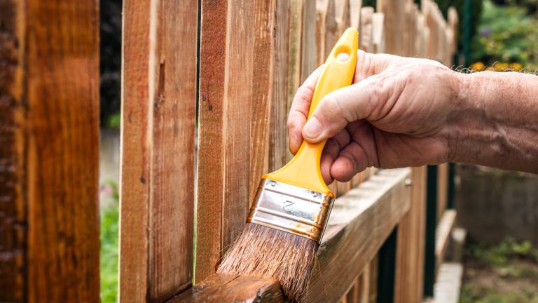 Man staining a picket fence