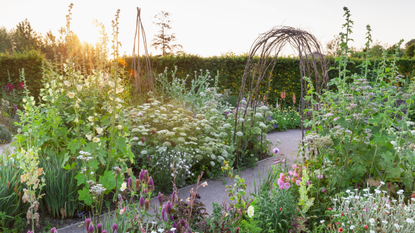 Cottage garden with willow archway