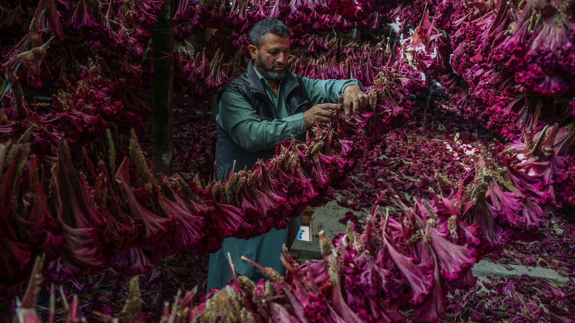 The week’s best photos