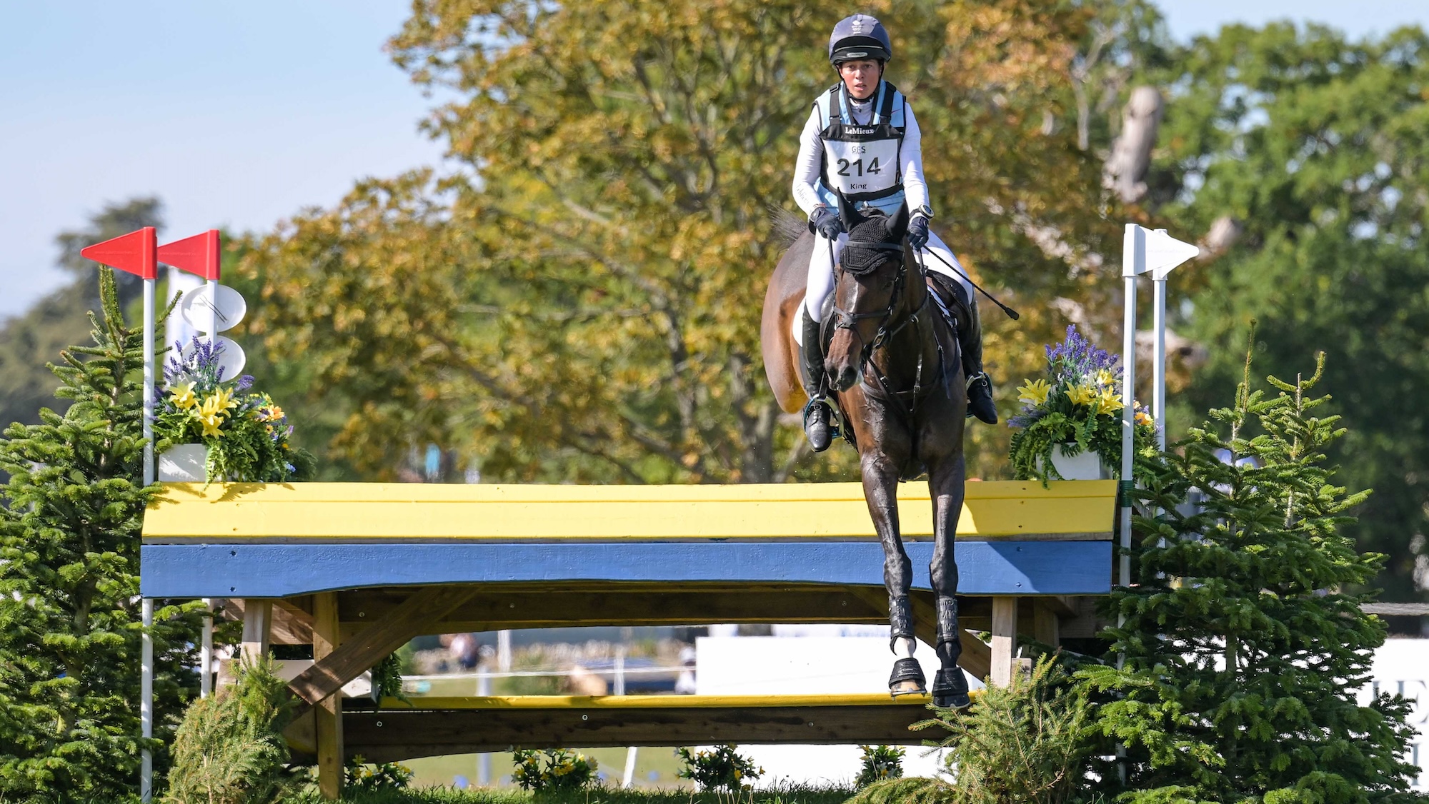 Kitty King (GBR) riding Kilcoltrim Cooley in CCI4*- S during the cross country phase of the Agria Blenheim Palace International Horse Trials 16-20th September 2026