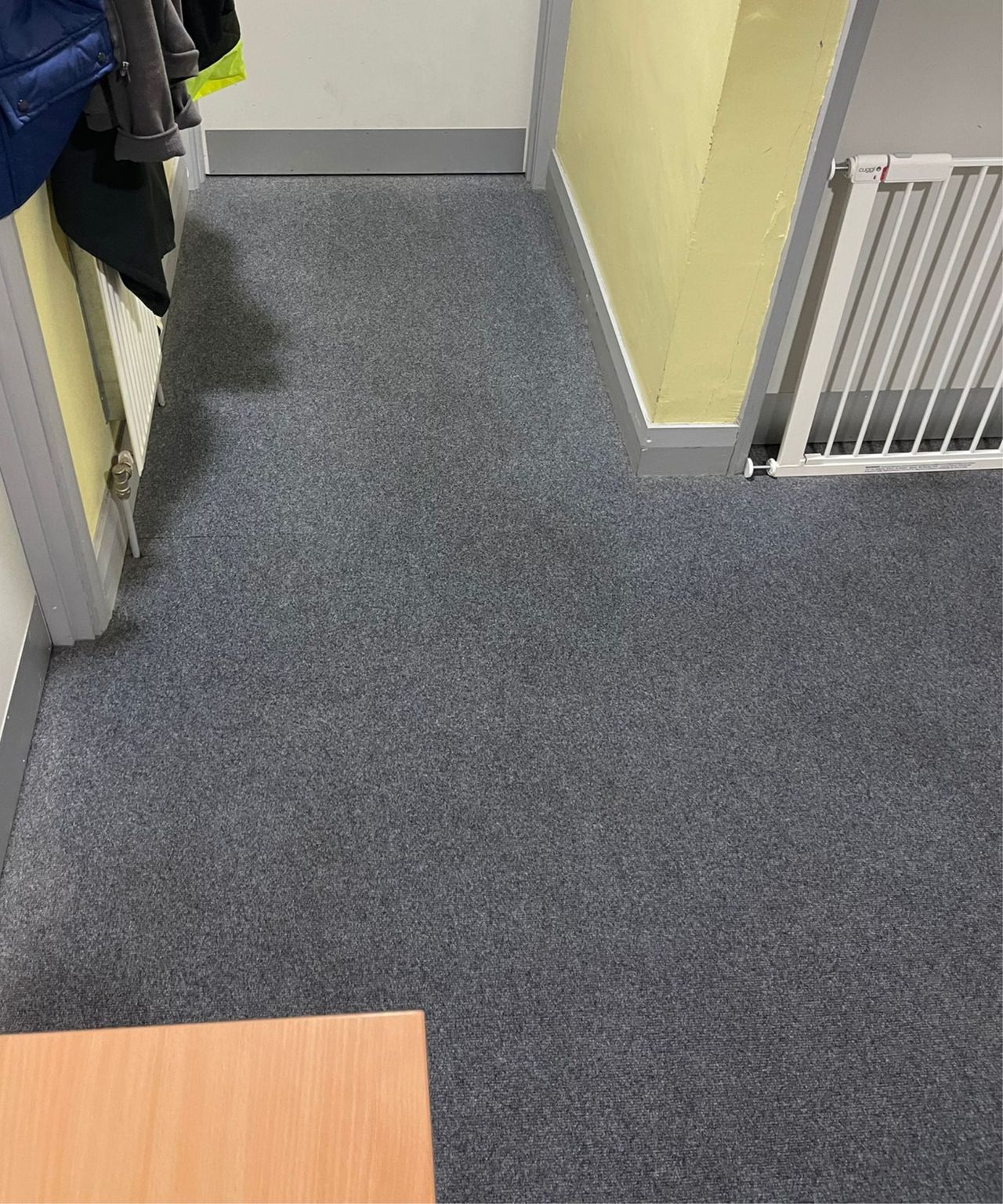 Photo of floor in Bristol ARC after using Bissell Revolution HydroSteam carpet cleaner