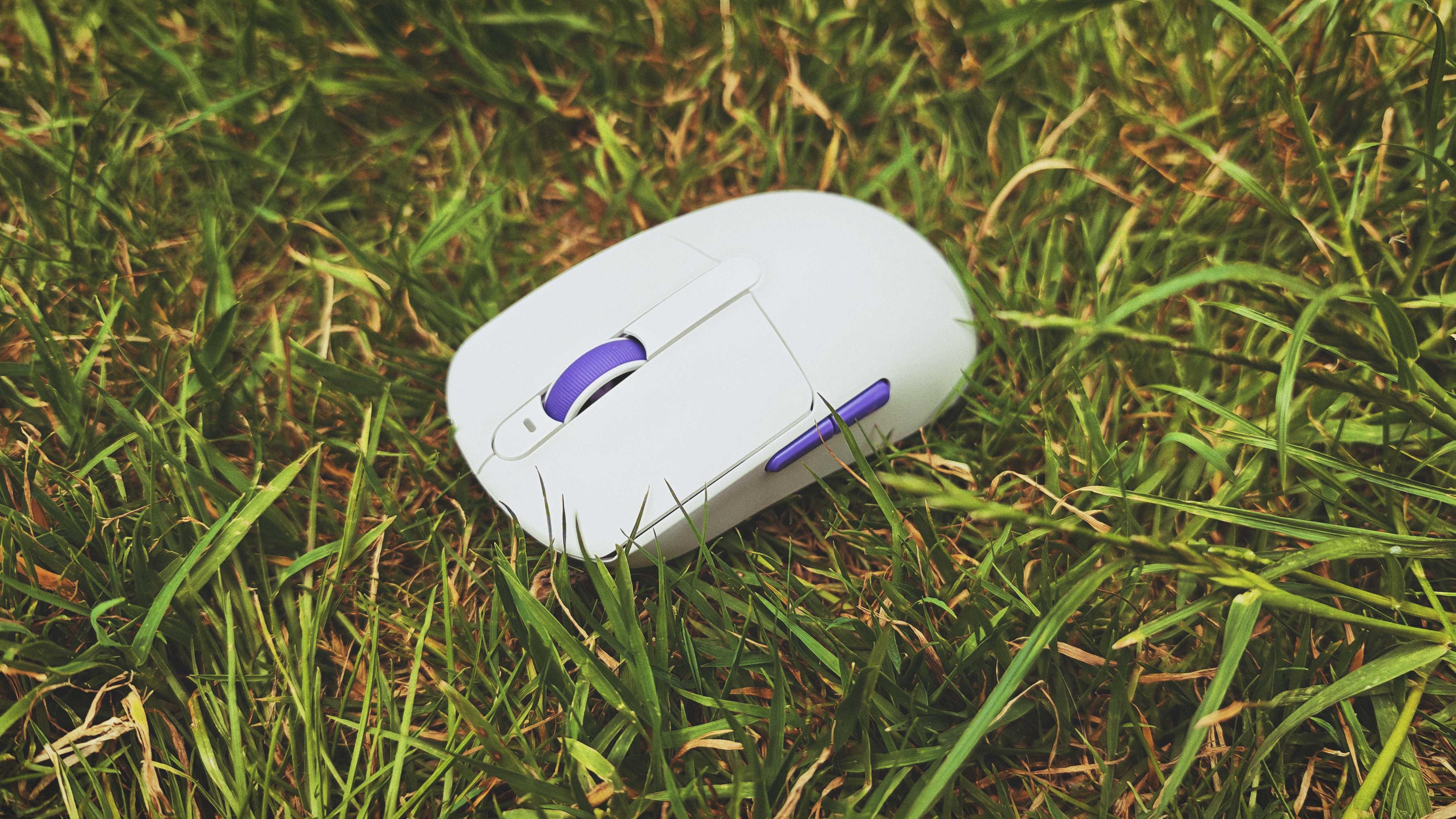 A white and purple Akko Dash Ultra gaming mouse sitting in tall grass in a garden