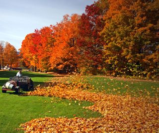 A man with a leaf blower to attach