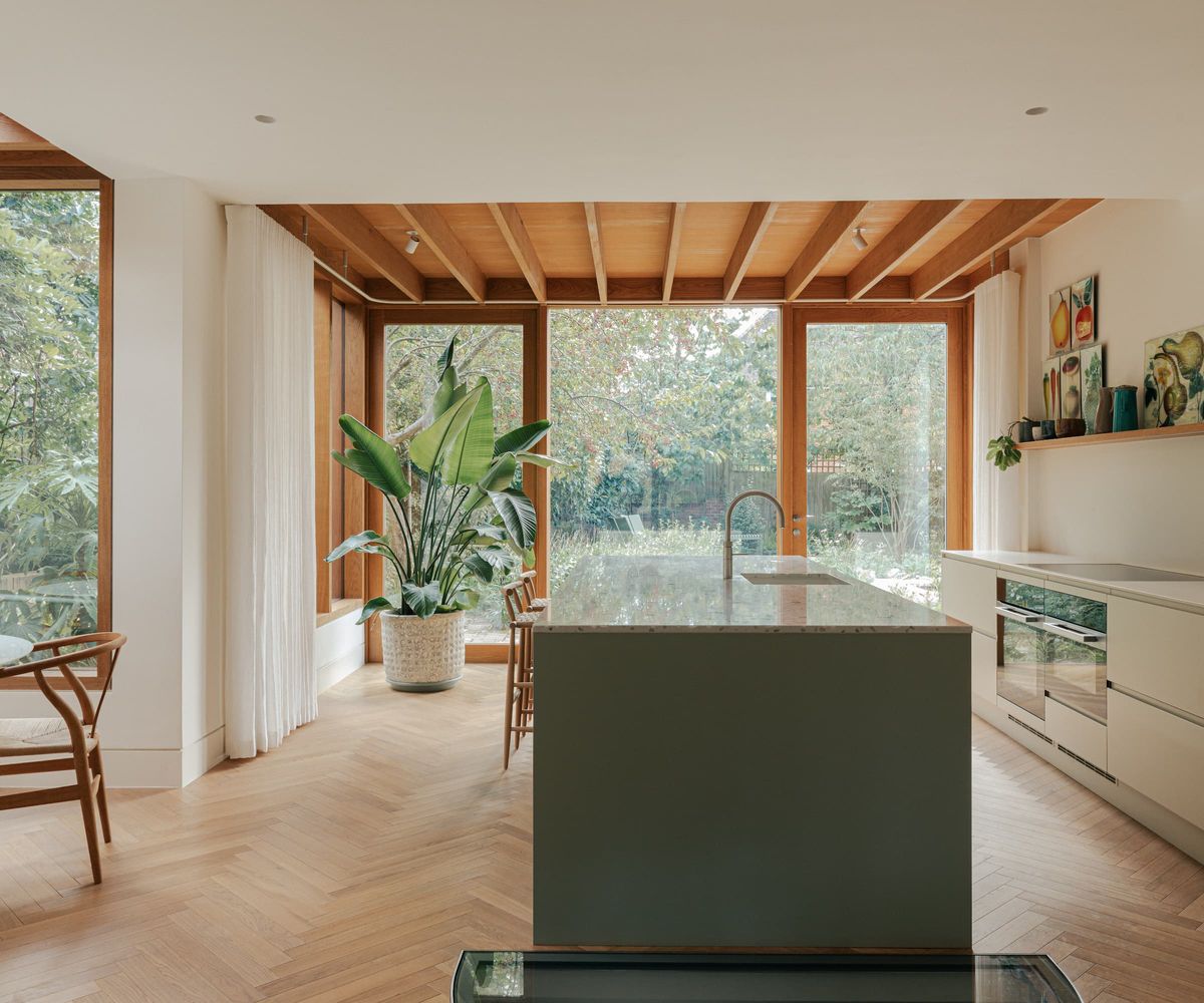 A grey kitchen island in a timber extension with a bird of paradise plant in the corner
