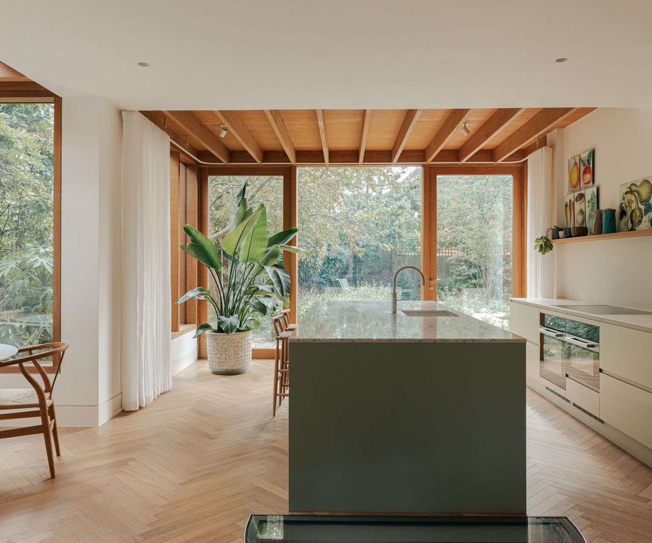 A grey kitchen island in a timber extension with a bird of paradise plant in the corner