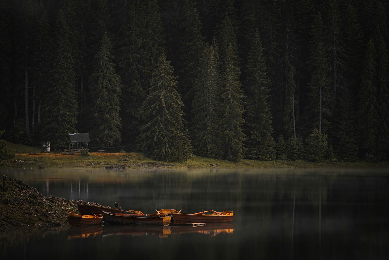 Image before processing in Luminar
