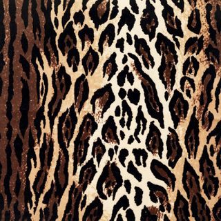 leopard velvet print