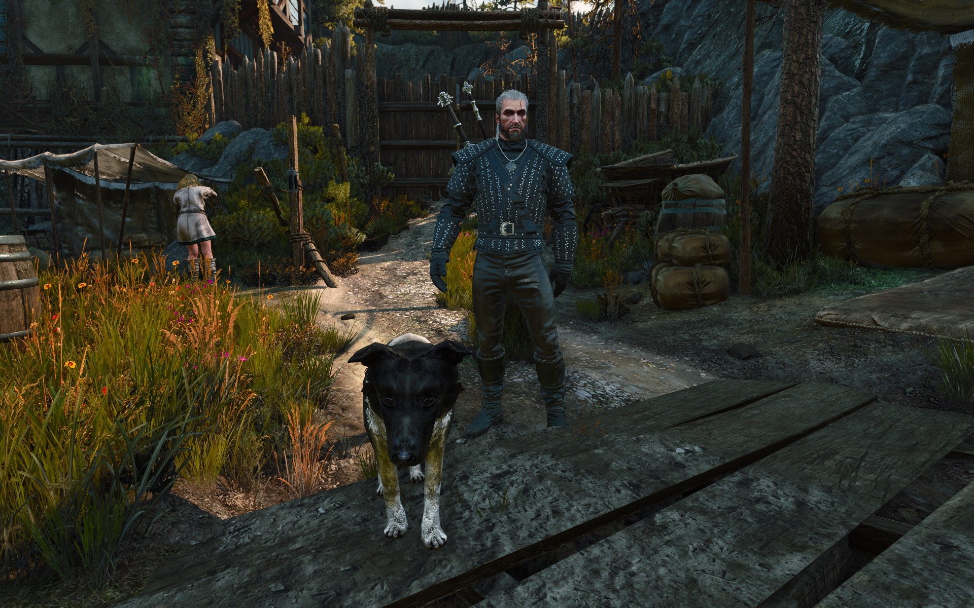 Henry Cavill's dog in the Witcher 3.