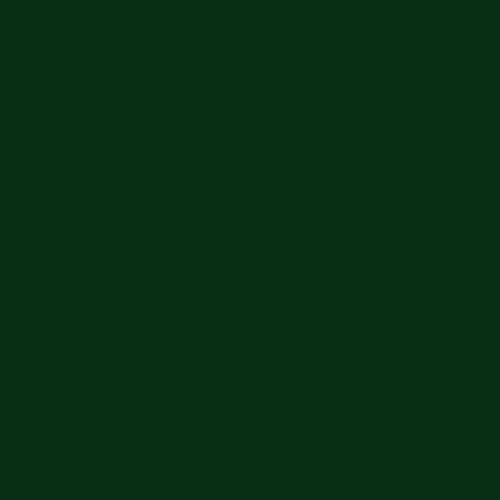 Dark Brunswick Green™
