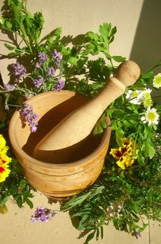 Herbs And Flowers Surrounding A Mortar