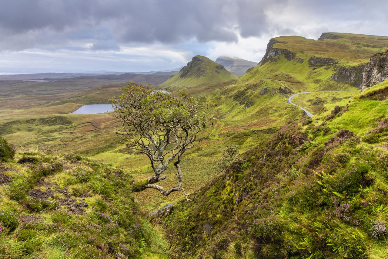 Landscapes