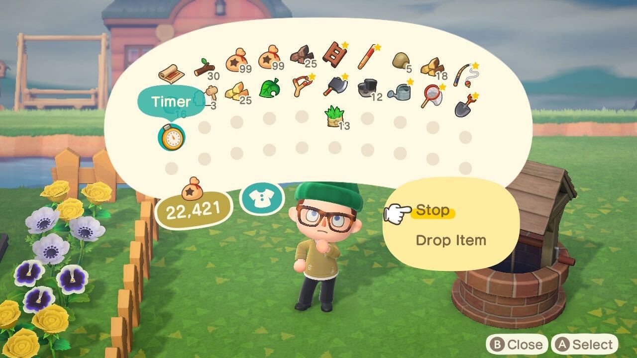 Animal Crossing: New Horizons