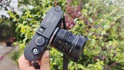 Leica 21mm Summilux-M f/1.4