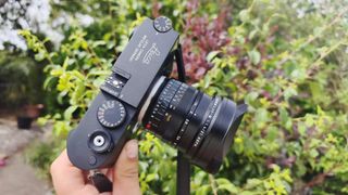 Leica 21mm Summilux-M f/1.4