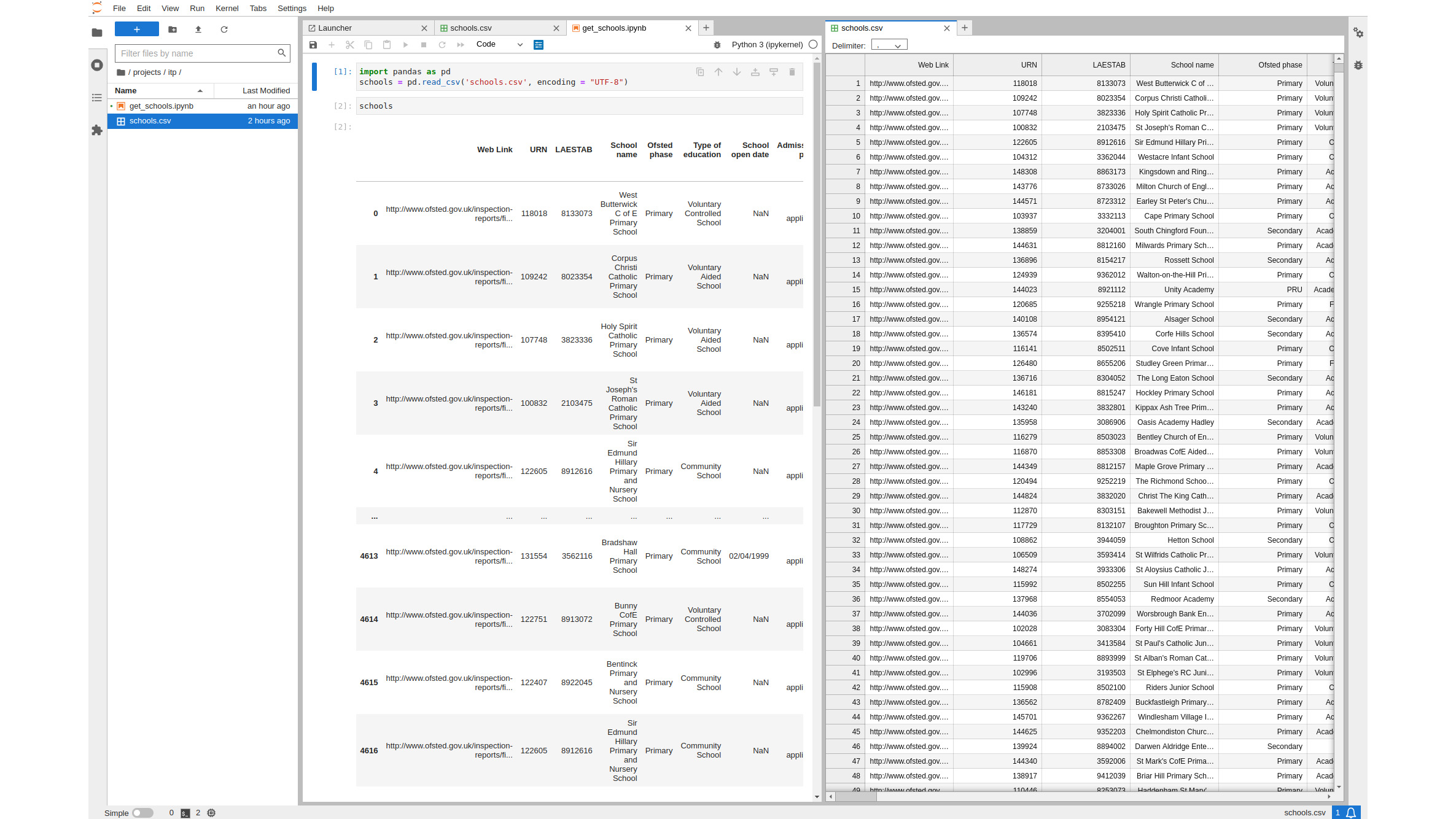 Jupyter Lab's interface