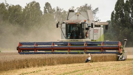 Harvesting Of Wheat In The Kyiv Region