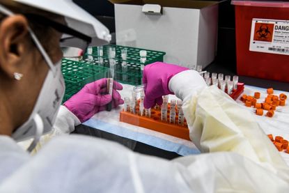 A lab testing coronavirus vaccine trials.