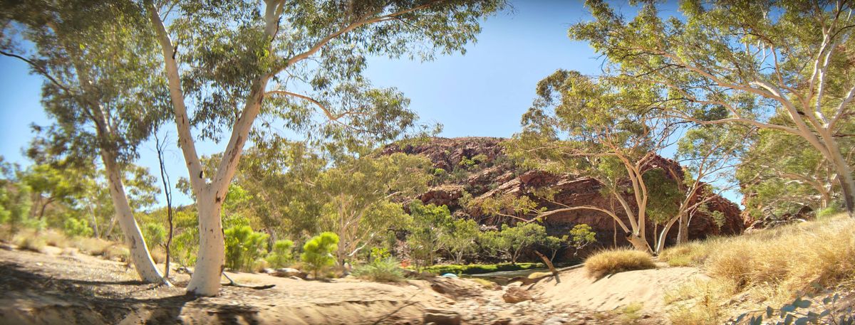 A photo taken on the Realme 13 Pro Plus alongside an Andoer 1.55x anamorphic lens.