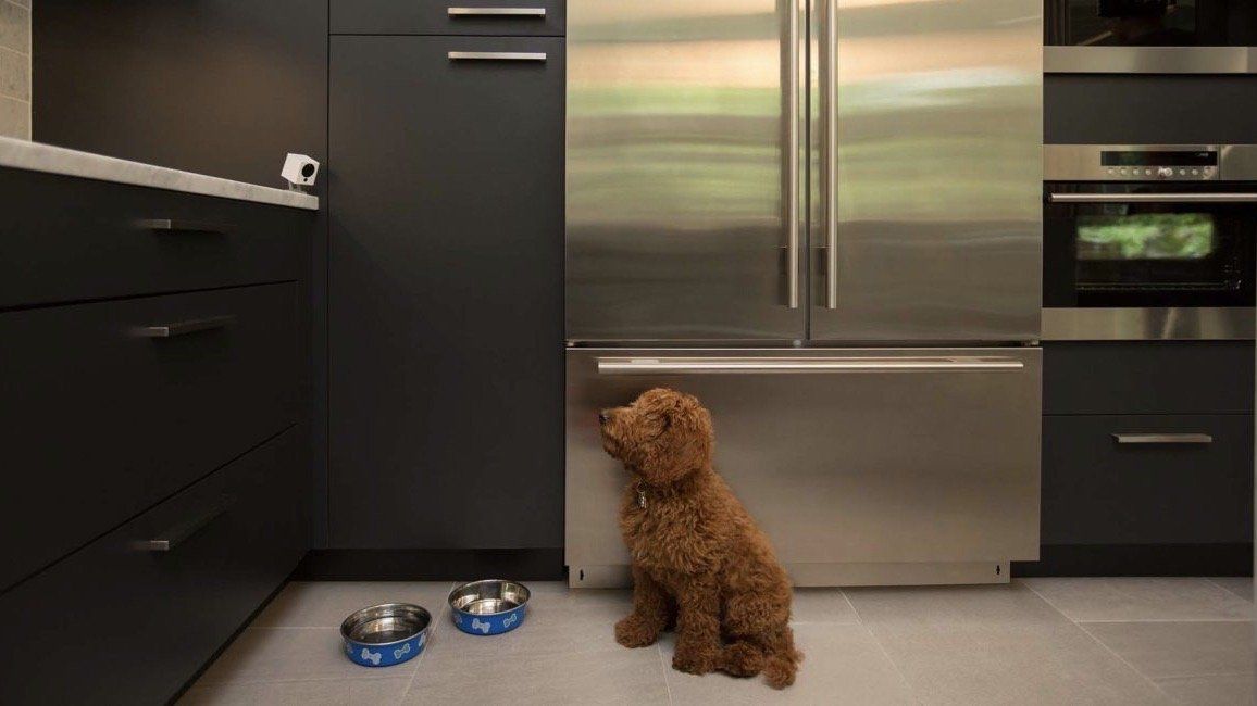 Wyze Cam in a kitchen setting