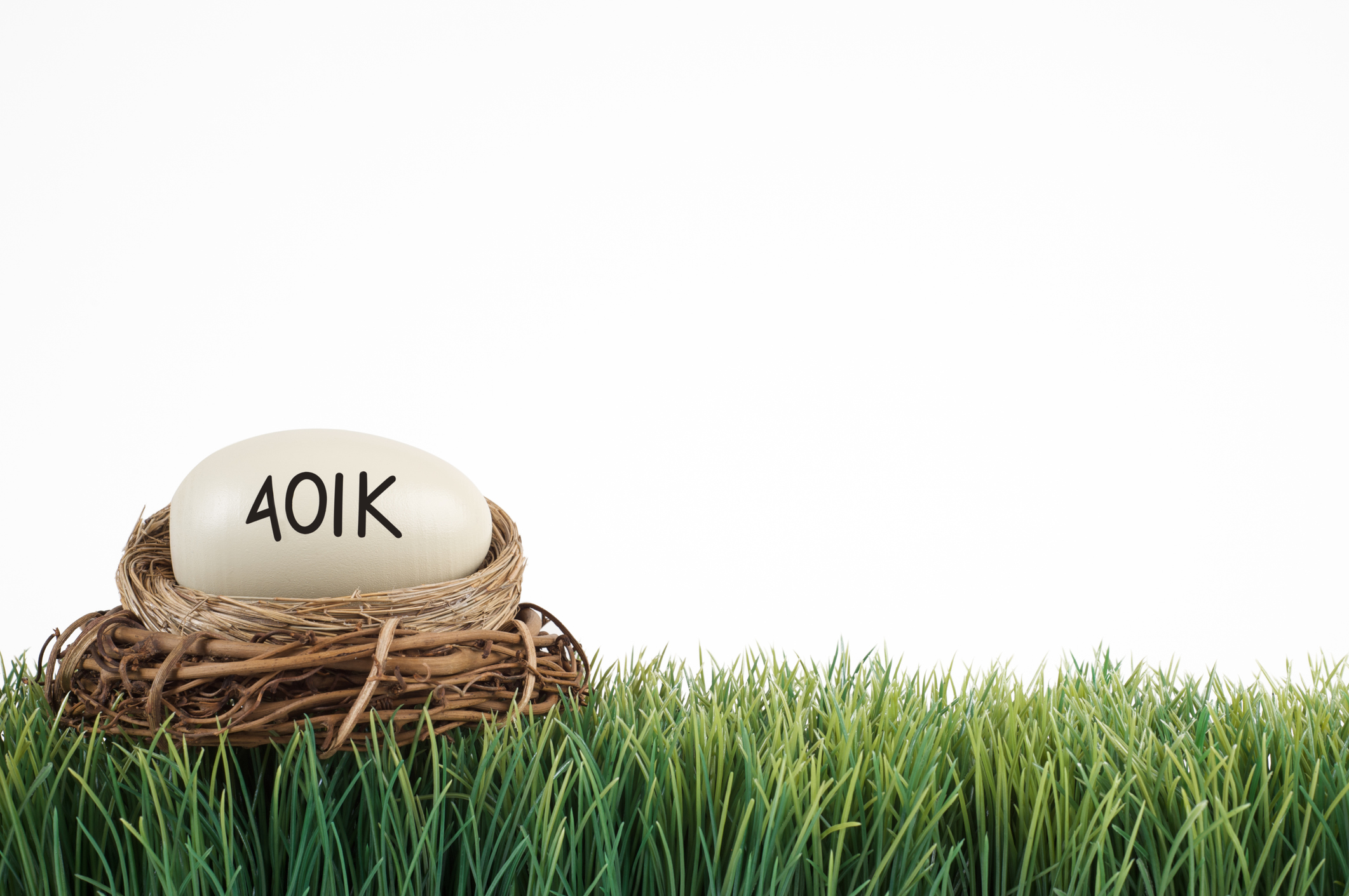 401k nest background
