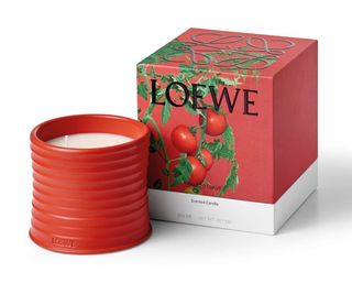 Loewe tomato leaf candle with the box