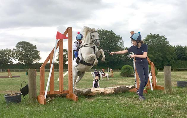 5Thelwell.jpeg