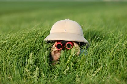 A person in a safari hat looking through binoculars 