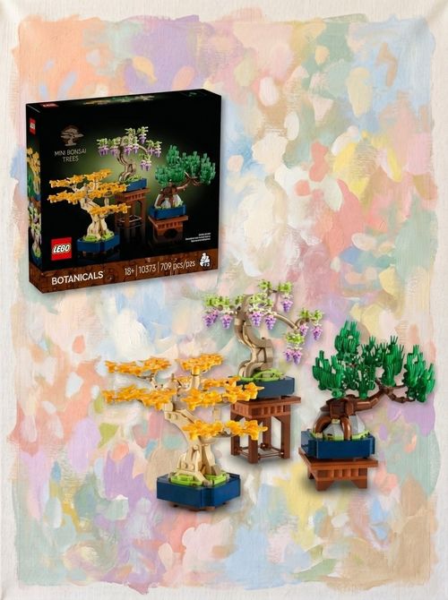 Mini Bonsai Trees 10373