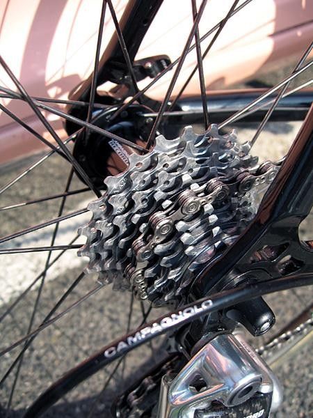 The rear cluster, 11-23.