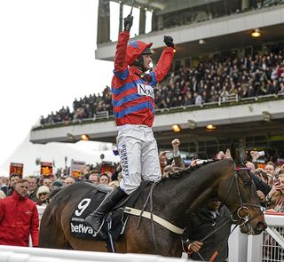 cheltenham festival 2017