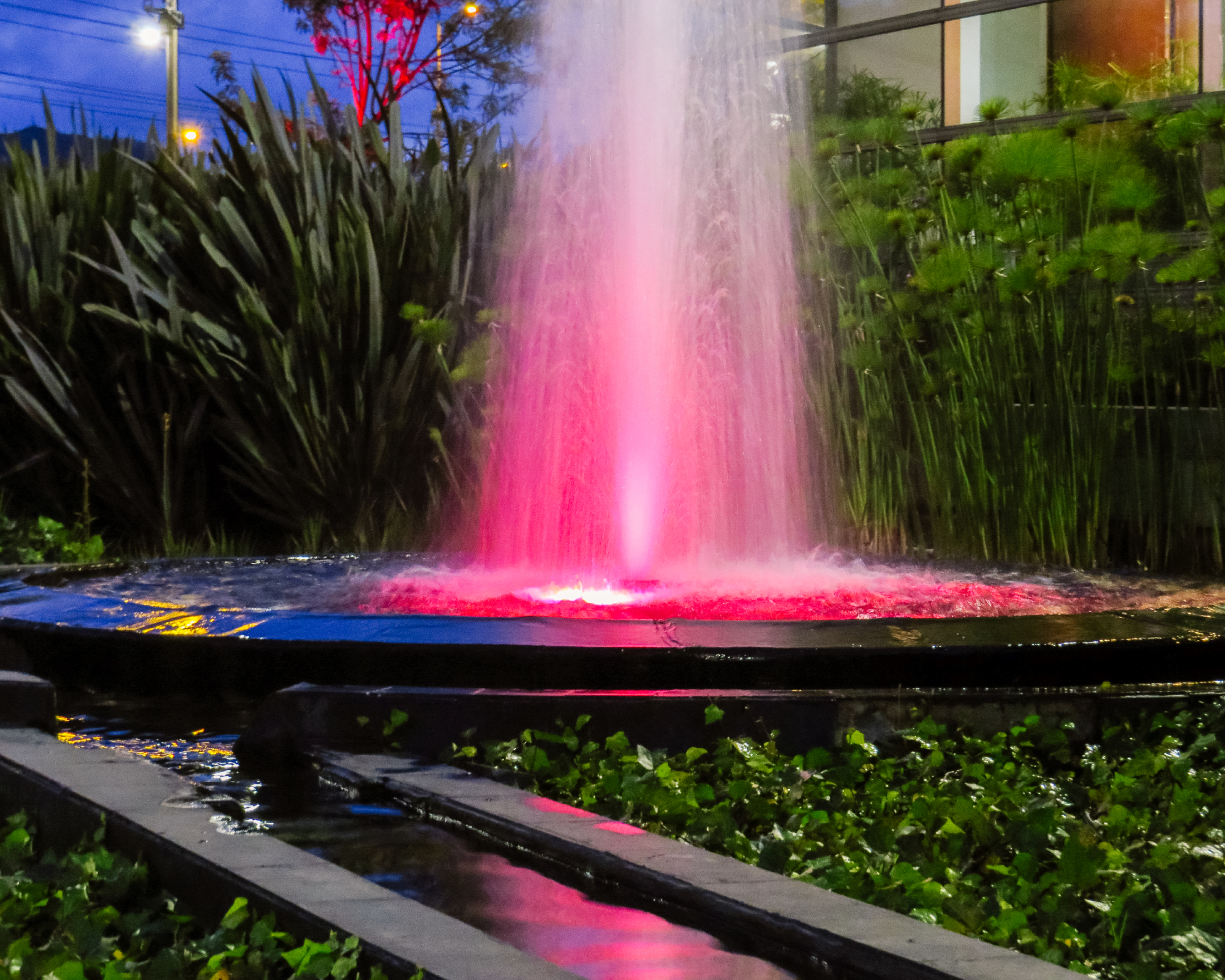Water fountain with red light in a garden at night