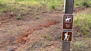 Horse and hiking trail sign