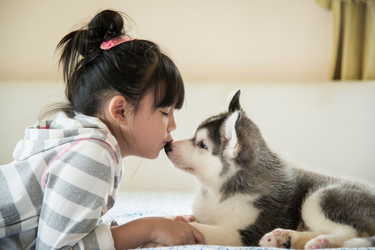 Girl kisses dog on nose